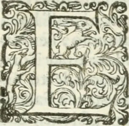 An illustration from Delle imprese, trattato, 1592, leaf 300