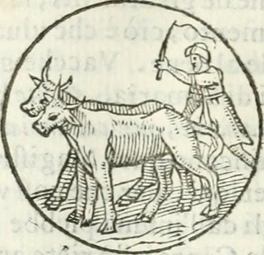 An illustration from Delle imprese, trattato, 1592, leaf 303
