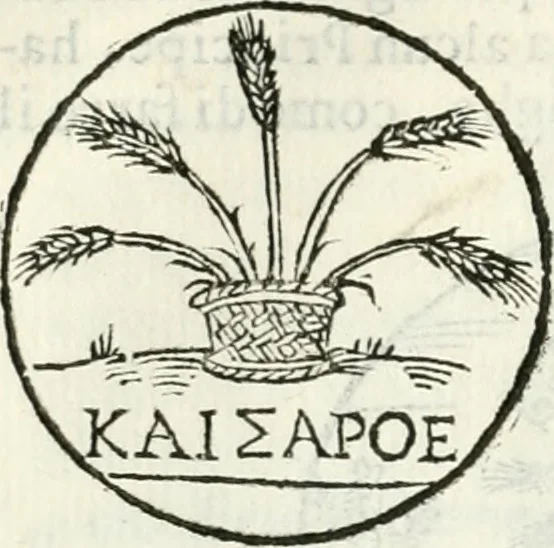 An illustration from Delle imprese, trattato, 1592, leaf 305