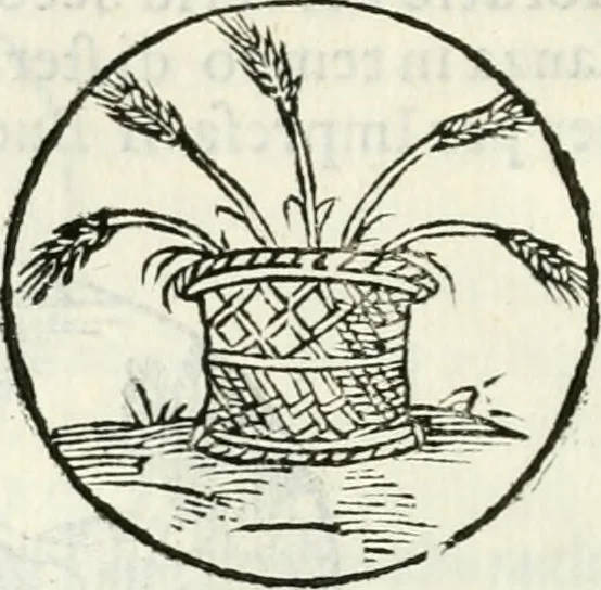 An illustration from Delle imprese, trattato, 1592, leaf 305