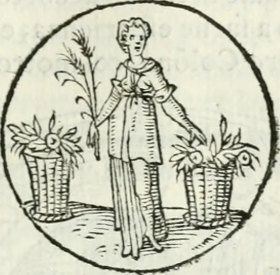 An illustration from Delle imprese, trattato, 1592, leaf 306