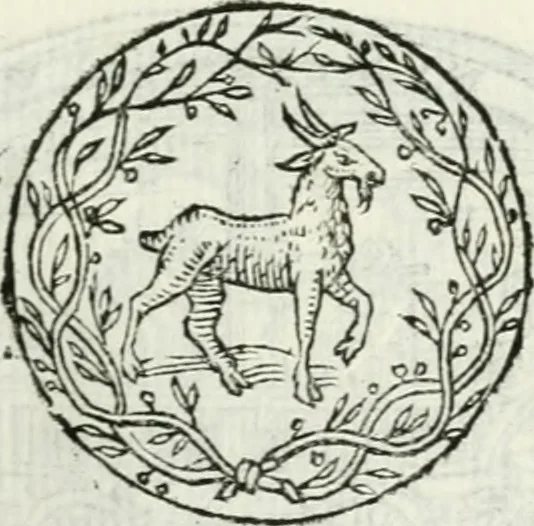 An illustration from Delle imprese, trattato, 1592, leaf 306