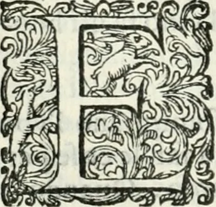 An illustration from Delle imprese, trattato, 1592, leaf 313
