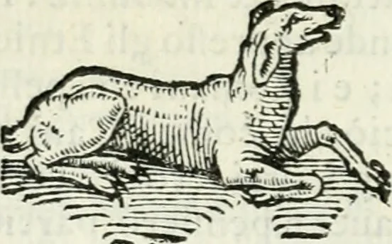 An illustration from Delle imprese, trattato, 1592, leaf 315