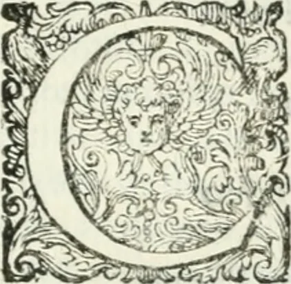 An illustration from Delle imprese, trattato, 1592, leaf 330