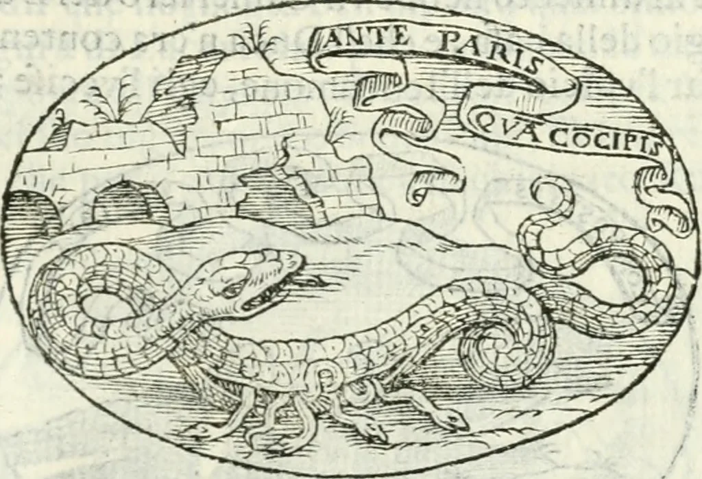 An illustration from Delle imprese, trattato, 1592, leaf 350