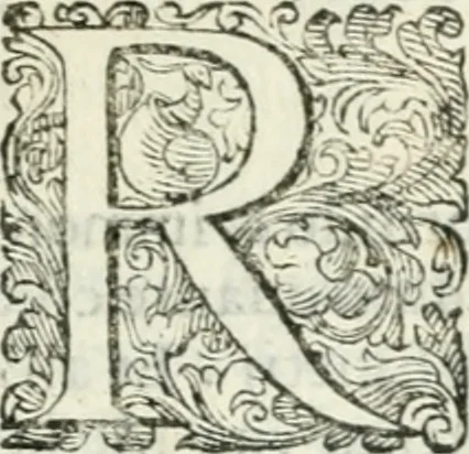 An illustration from Delle imprese, trattato, 1592, leaf 358