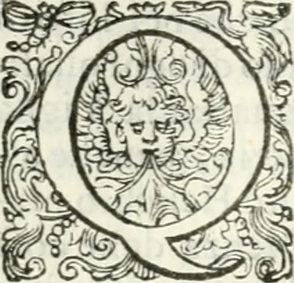An illustration from Delle imprese, trattato, 1592, leaf 359