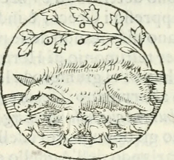 An illustration from Delle imprese, trattato, 1592, leaf 359
