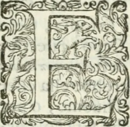 An illustration from Delle imprese, trattato, 1592, leaf 366