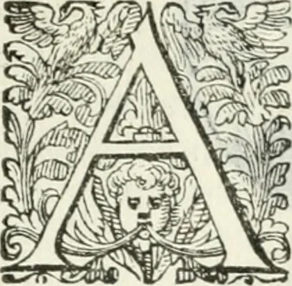 An illustration from Delle imprese, trattato, 1592, leaf 376