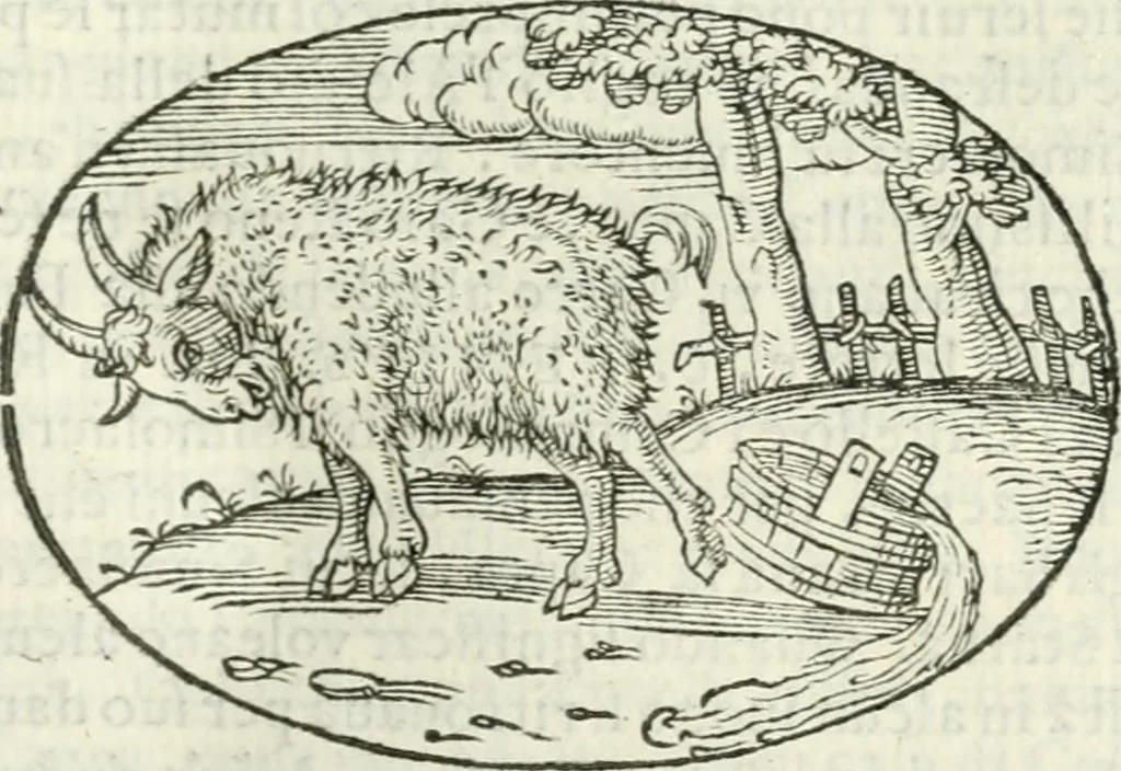 An illustration from Delle imprese, trattato, 1592, leaf 378
