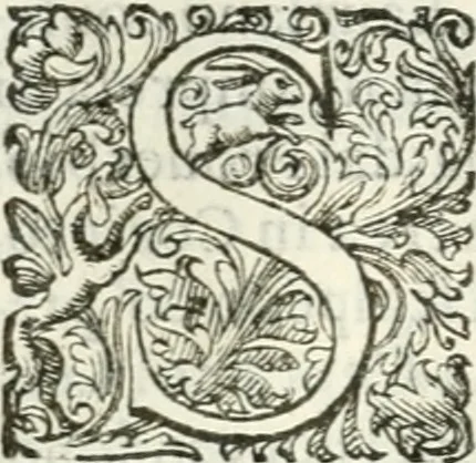 An illustration from Delle imprese, trattato, 1592, leaf 381