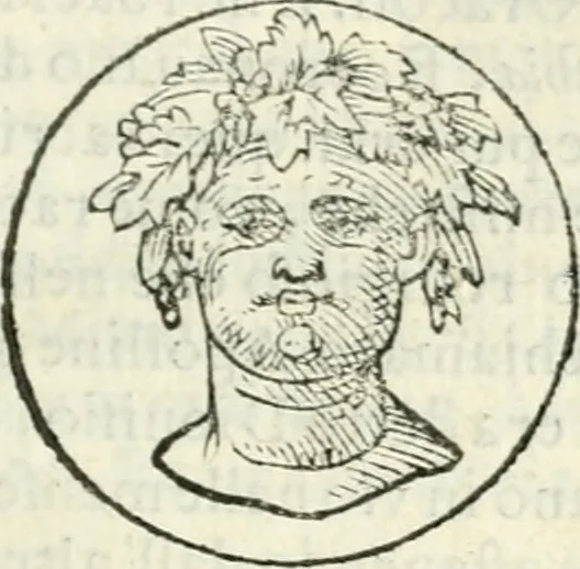 An illustration from Delle imprese, trattato, 1592, leaf 398