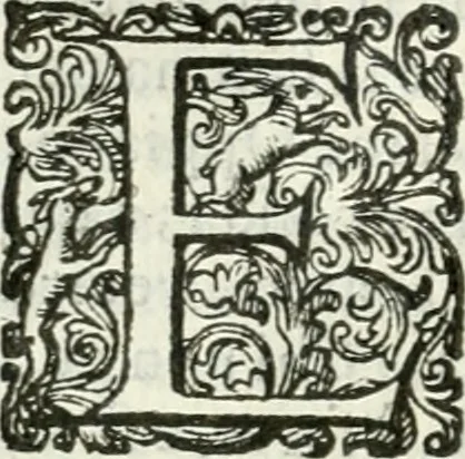 An illustration from Delle imprese, trattato, 1592, leaf 401
