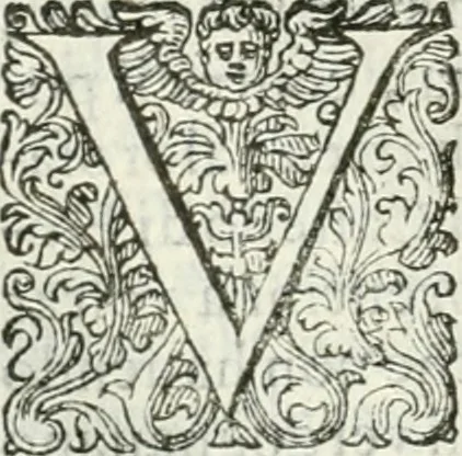 An illustration from Delle imprese, trattato, 1592, leaf 403