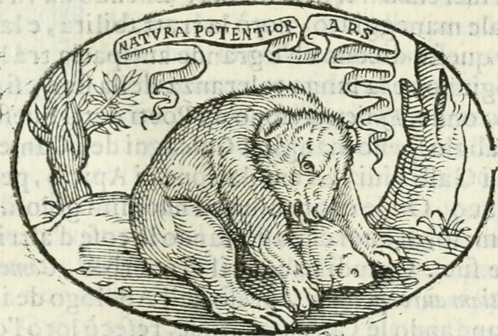 An illustration from Delle imprese, trattato, 1592, leaf 408