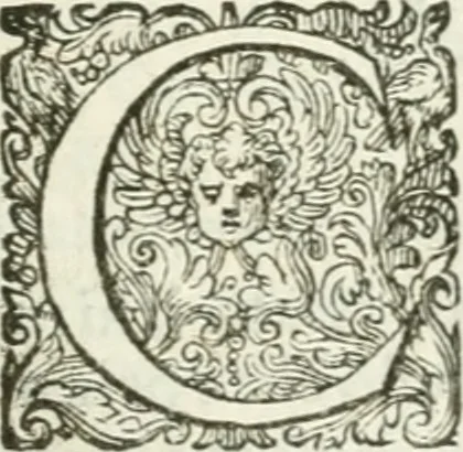 An illustration from Delle imprese, trattato, 1592, leaf 410