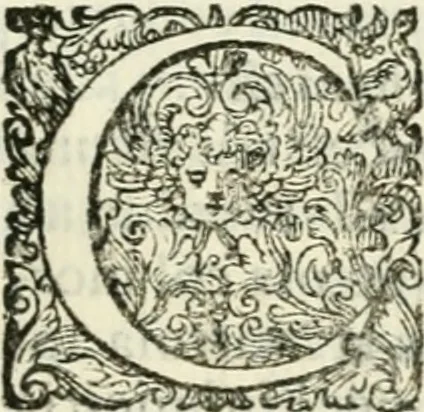 An illustration from Delle imprese, trattato, 1592, leaf 432