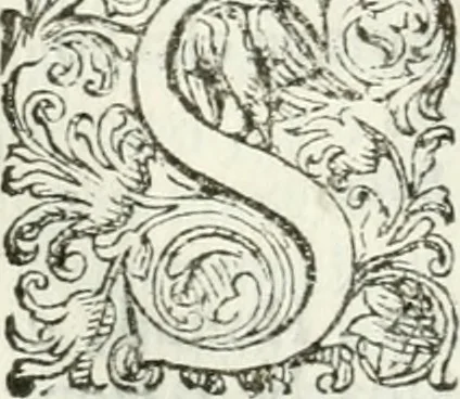 An illustration from Delle imprese, trattato, 1592, leaf 435