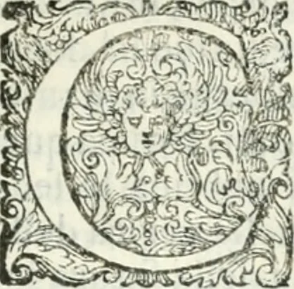 An illustration from Delle imprese, trattato, 1592, leaf 438