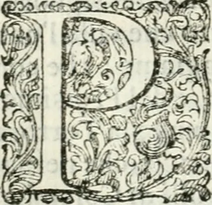 An illustration from Delle imprese, trattato, 1592, leaf 445