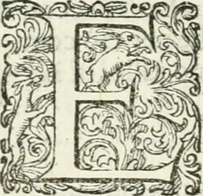 An illustration from Delle imprese, trattato, 1592, leaf 451