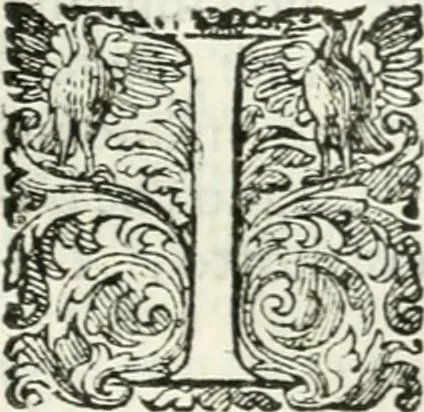 An illustration from Delle imprese, trattato, 1592, leaf 454