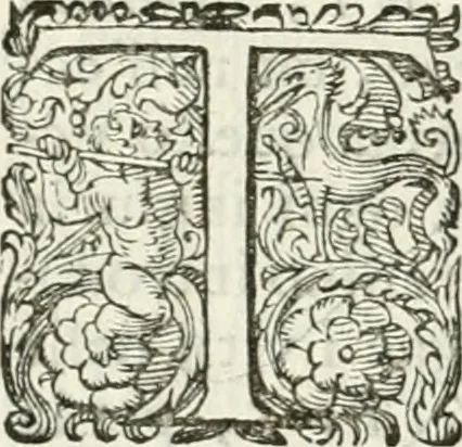 An illustration from Delle imprese, trattato, 1592, leaf 459
