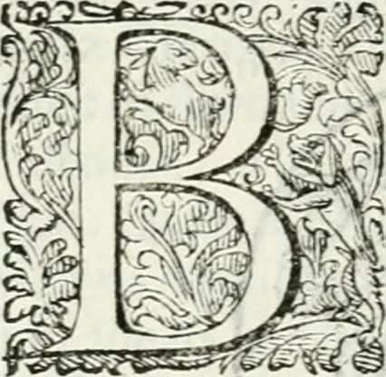 An illustration from Delle imprese, trattato, 1592, leaf 471