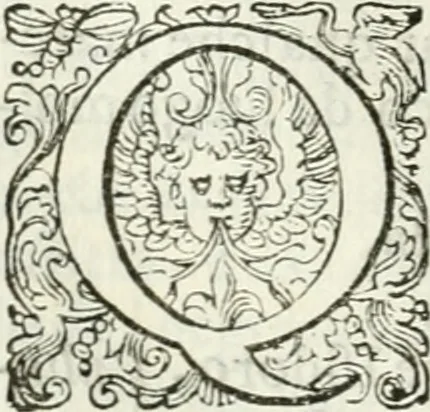 An illustration from Delle imprese, trattato, 1592, leaf 475