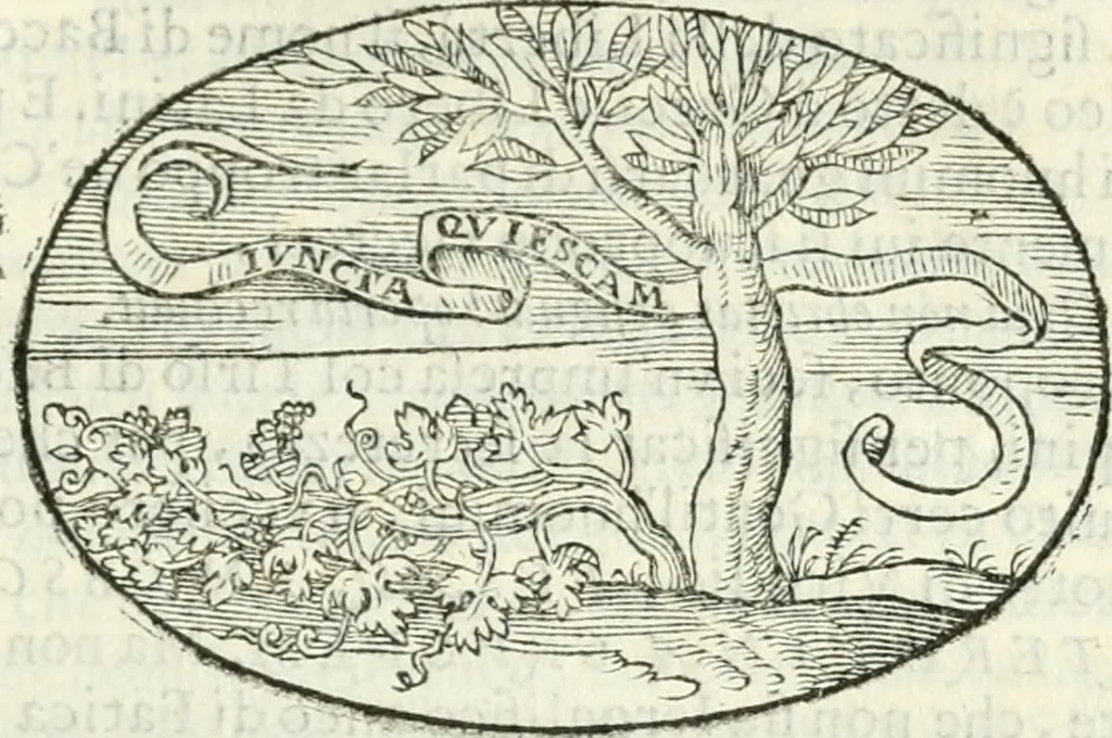 An illustration from Delle imprese, trattato, 1592, leaf 478