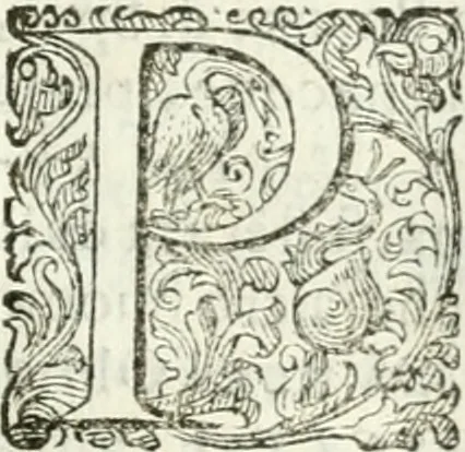 An illustration from Delle imprese, trattato, 1592, leaf 478