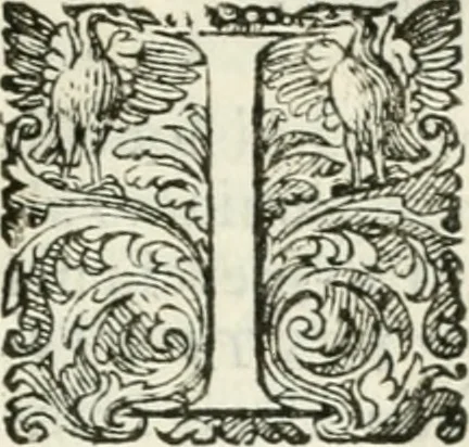An illustration from Delle imprese, trattato, 1592, leaf 482