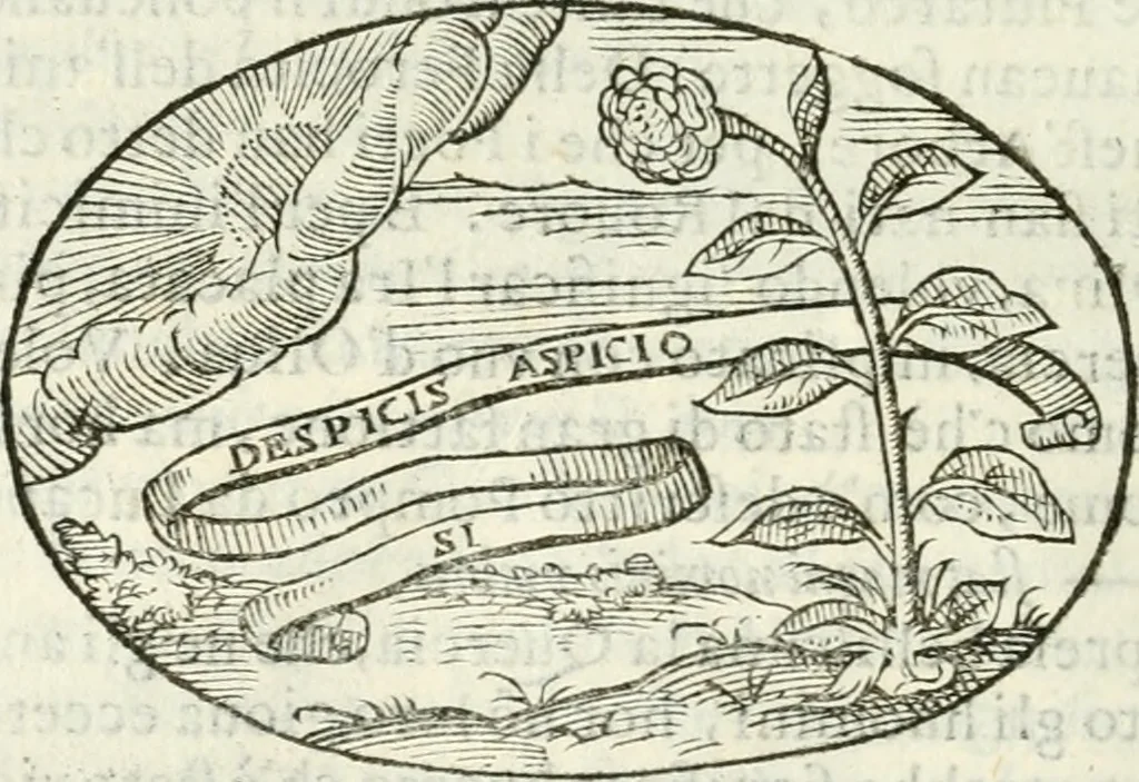An illustration from Delle imprese, trattato, 1592, leaf 483