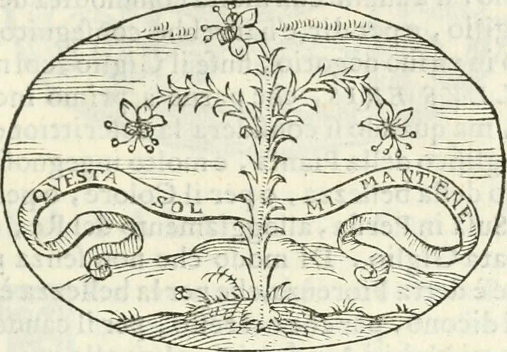 An illustration from Delle imprese, trattato, 1592, leaf 488