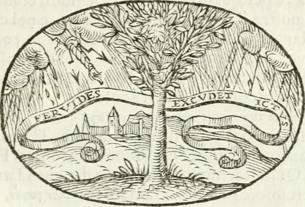 An illustration from Delle imprese, trattato, 1592, leaf 494