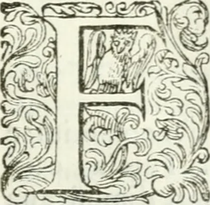 An illustration from Delle imprese, trattato, 1592, leaf 494
