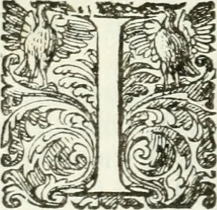 An illustration from Delle imprese, trattato, 1592, leaf 497