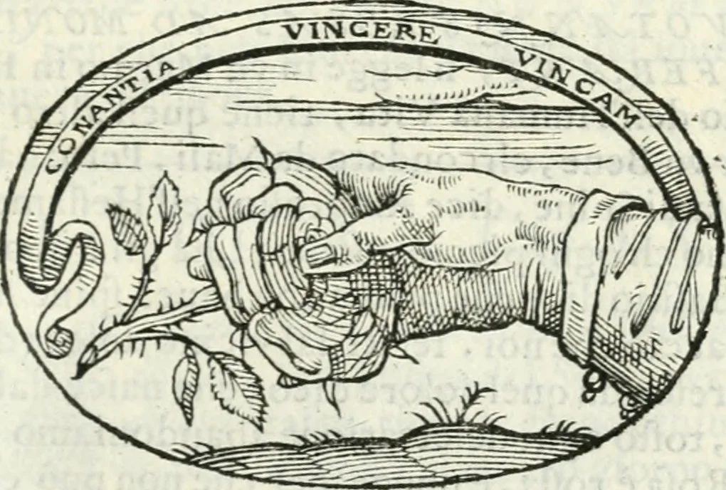 An illustration from Delle imprese, trattato, 1592, leaf 498