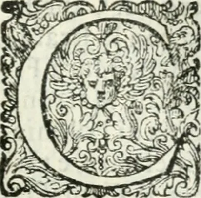 An illustration from Delle imprese, trattato, 1592, leaf 502