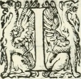 An illustration from Delle imprese, trattato, 1592, leaf 503