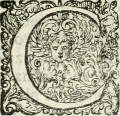 An illustration from Delle imprese, trattato, 1592, leaf 506