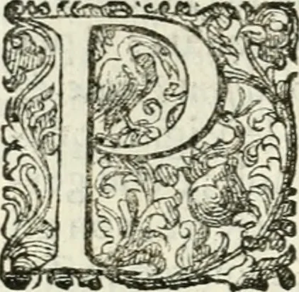 An illustration from Delle imprese, trattato, 1592, leaf 509