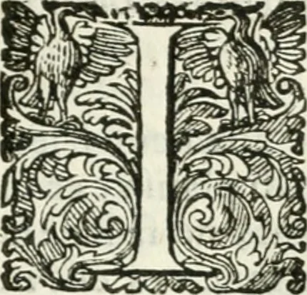 An illustration from Delle imprese, trattato, 1592, leaf 522