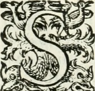 An illustration from Delle imprese, trattato, 1592, leaf 527