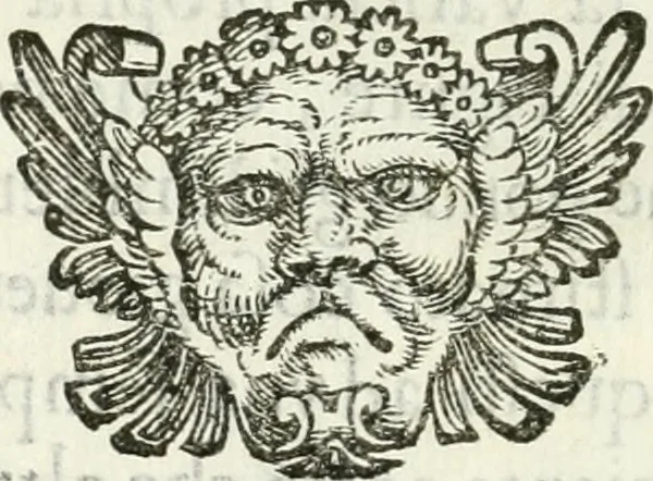 An illustration from Delle imprese, trattato, 1592, leaf 533