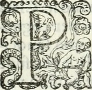 An illustration from Delle imprese, trattato, 1592, leaf 543