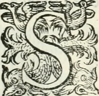An illustration from Delle imprese, trattato, 1592, leaf 553