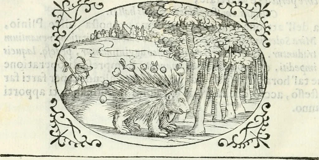 An illustration from Delle imprese, trattato, 1592, leaf 555